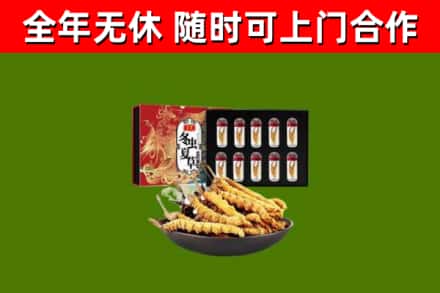 乌兰浩特回收冬虫夏草价格